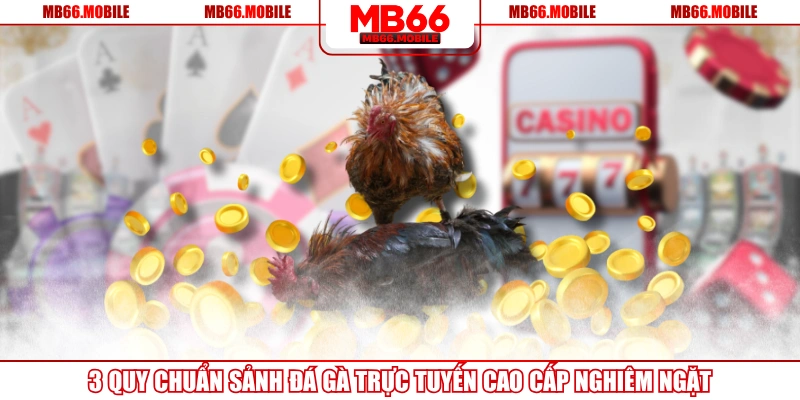 3 Quy Chuẩn Sảnh Đá Gà Trực Tuyến Cao Cấp Nghiêm Ngặt