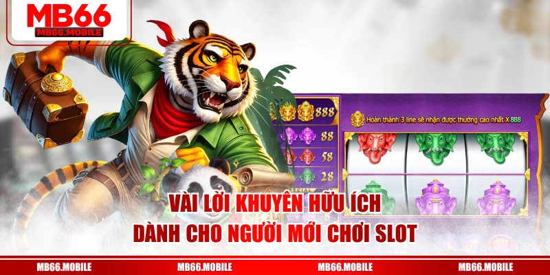 Vài lời khuyên hữu ích dành cho người mới chơi slot